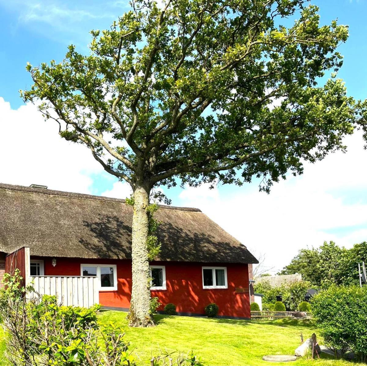 Haus Hanna Dagebüll Dış mekan fotoğraf